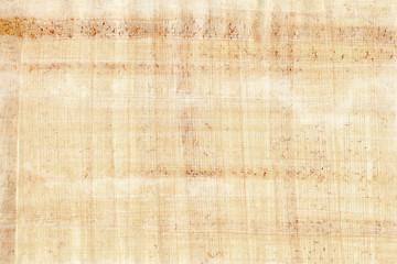 Image showing Papyrus