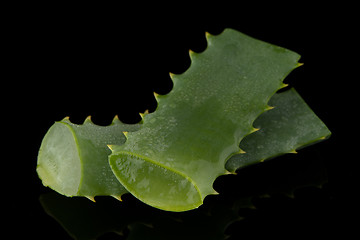 Image showing Sliced aloe leaf