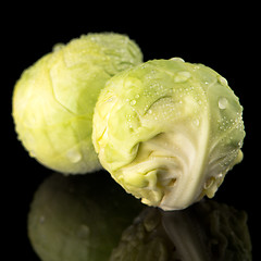 Image showing Fresh brussels sprouts