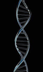 Image showing DNA structure model