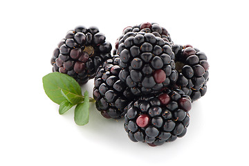 Image showing Blackberries with leaves