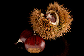 Image showing Chestnuts on a black reflective background