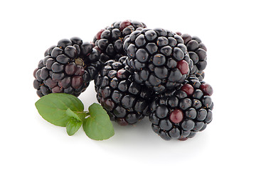 Image showing Blackberries with leaves