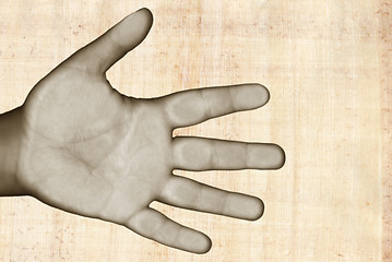 Image showing Hand