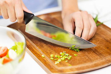 Image showing close up of woman chopping green onion with knife