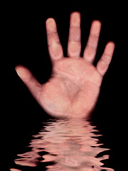 Image showing Hand