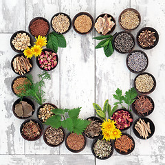 Image showing Healing Herbs for Women 