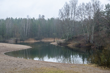 Image showing Foggy spring landscape in the forest lake