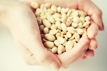 Image showing close up of woman hands holding peeled peanuts