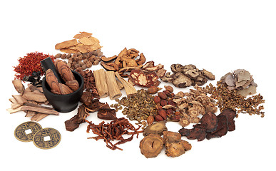 Image showing Chinese Herb Ingredients