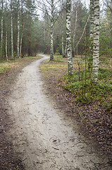 Image showing Foggy spring landscape with footpath in the woods