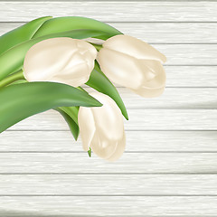 Image showing Bouquet of white tulips. EPS 10