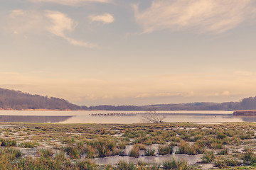 Image showing Frozen lake landscape in the morning