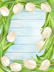 Image showing Bouquet of white tulips. EPS 10