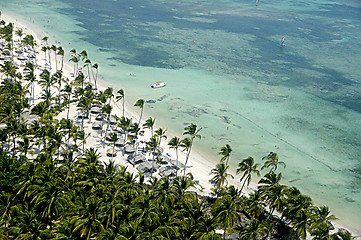 Image showing Tropical beach with palms and white sand