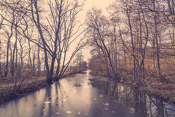 Image showing Frozen river in a forest