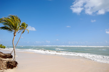 Image showing Beach in the tropical caribbean