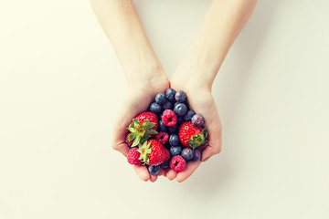 Image showing close up of woman hands holding berries