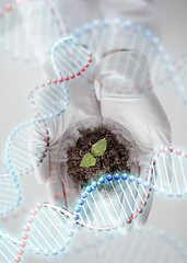 Image showing close up of scientist hands with plant and soil