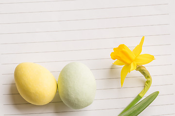 Image showing Easter eggs and daffodils