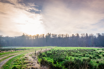 Image showing Countryside sunset with a nature trail