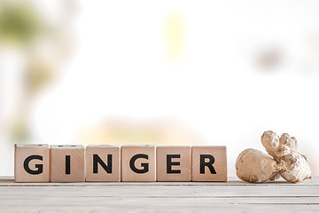 Image showing Ginger word on wooden cubes