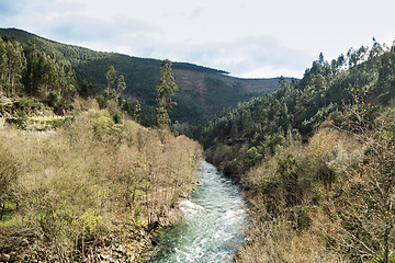 Image showing Paiva river