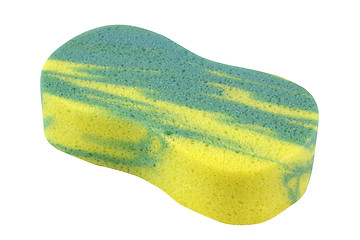 Image showing Colorful Sponge