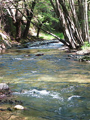 Image showing The river way. Cyprus