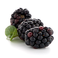 Image showing Blackberries with leaves