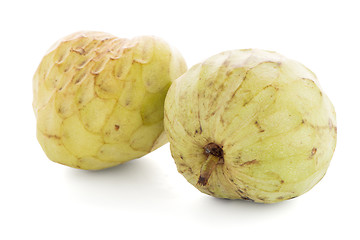 Image showing Sugar Apple or Custard Apple