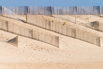 Image showing Sandy beach and dunes in Portugal