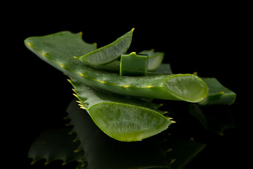 Image showing Sliced aloe leaf