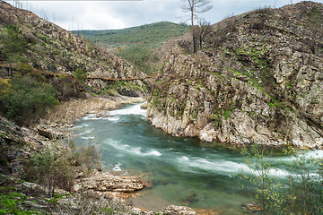 Image showing Paiva river