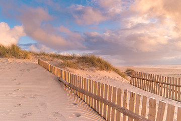 Image showing Dune Fence on Beach