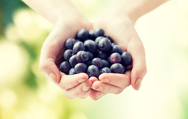 Image showing close up of woman hands holding blueberries