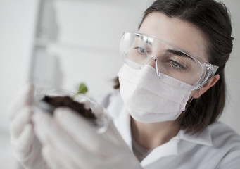 Image showing close up of scientist with plant and soil in lab