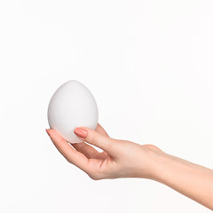 Image showing The female hand holding white blank styrofoam oval 