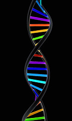 Image showing DNA structure model