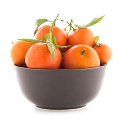 Image showing Tangerines on ceramic brown  bowl 