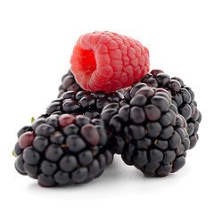 Image showing Raspberry with blackberry 