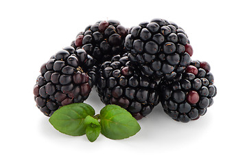 Image showing Blackberries with leaves