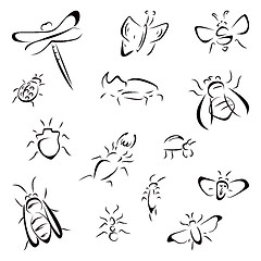 Image showing Set of bugs