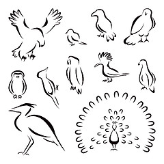 Image showing Set of birds