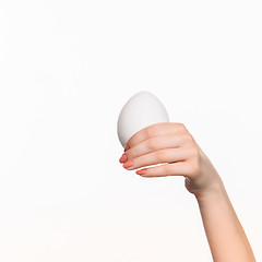 Image showing The female hand holding white blank styrofoam oval 