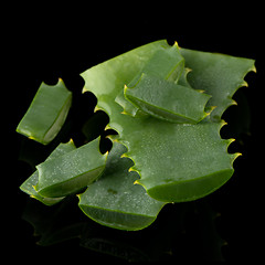 Image showing Sliced aloe leaf