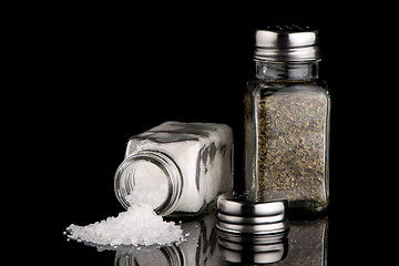 Image showing  Salt and oregano shakers