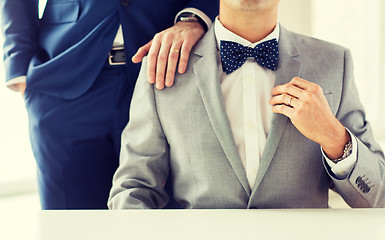 Image showing close up of male gay couple with wedding rings on