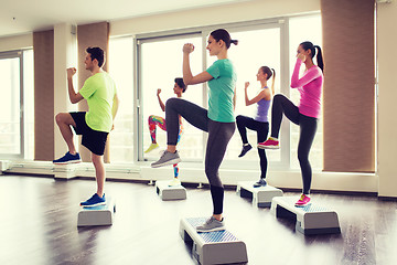 Image showing group of people working out with steppers in gym