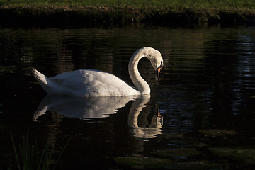 Image showing mirror